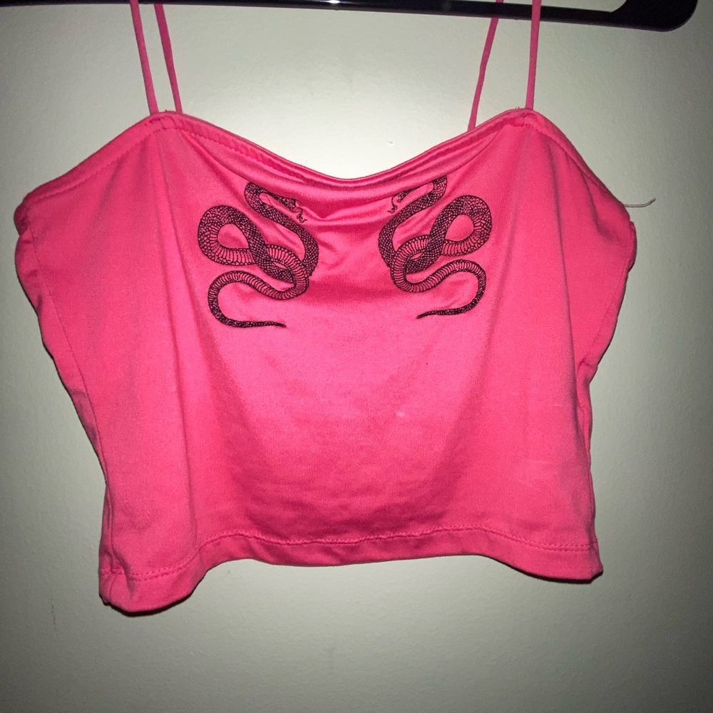 Snake Tank